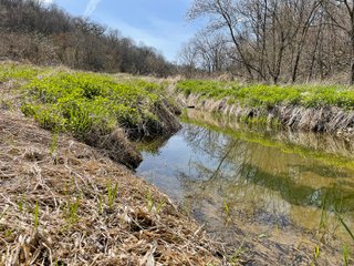 This 32+/- acre piece of timber sits in the middle of an area known for quality whitetail deer hunting. With both south and north facing hillsides spanning the property and a flat, open creek bottom, there are numerous locations for box blinds with great visibility. There are well defined deer trails throughout the property along with UTV access. The 4.97+/- acres of CRP that lays in the bottom of the valley provide income while at the same time creating wildlife habitat. This is also the perfect spot for future food plots. An easement through the farm off of Kittoe Lane gains access to this newly sectioned parcel. - REAL ESTATE FOR SALE - 32+/- ACRES - GRANT COUNTY, WI