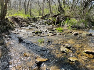 This 32+/- acre piece of timber sits in the middle of an area known for quality whitetail deer hunting. With both south and north facing hillsides spanning the property and a flat, open creek bottom, there are numerous locations for box blinds with great visibility. There are well defined deer trails throughout the property along with UTV access. The 4.97+/- acres of CRP that lays in the bottom of the valley provide income while at the same time creating wildlife habitat. This is also the perfect spot for future food plots. An easement through the farm off of Kittoe Lane gains access to this newly sectioned parcel. - REAL ESTATE FOR SALE - 32+/- ACRES - GRANT COUNTY, WI
