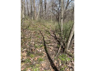 This 32+/- acre piece of timber sits in the middle of an area known for quality whitetail deer hunting. With both south and north facing hillsides spanning the property and a flat, open creek bottom, there are numerous locations for box blinds with great visibility. There are well defined deer trails throughout the property along with UTV access. The 4.97+/- acres of CRP that lays in the bottom of the valley provide income while at the same time creating wildlife habitat. This is also the perfect spot for future food plots. An easement through the farm off of Kittoe Lane gains access to this newly sectioned parcel. - REAL ESTATE FOR SALE - 32+/- ACRES - GRANT COUNTY, WI