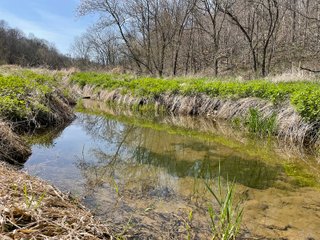 This 32+/- acre piece of timber sits in the middle of an area known for quality whitetail deer hunting. With both south and north facing hillsides spanning the property and a flat, open creek bottom, there are numerous locations for box blinds with great visibility. There are well defined deer trails throughout the property along with UTV access. The 4.97+/- acres of CRP that lays in the bottom of the valley provide income while at the same time creating wildlife habitat. This is also the perfect spot for future food plots. An easement through the farm off of Kittoe Lane gains access to this newly sectioned parcel. - REAL ESTATE FOR SALE - 32+/- ACRES - GRANT COUNTY, WI