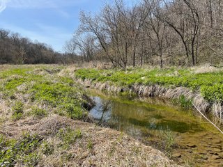 This 32+/- acre piece of timber sits in the middle of an area known for quality whitetail deer hunting. With both south and north facing hillsides spanning the property and a flat, open creek bottom, there are numerous locations for box blinds with great visibility. There are well defined deer trails throughout the property along with UTV access. The 4.97+/- acres of CRP that lays in the bottom of the valley provide income while at the same time creating wildlife habitat. This is also the perfect spot for future food plots. An easement through the farm off of Kittoe Lane gains access to this newly sectioned parcel. - REAL ESTATE FOR SALE - 32+/- ACRES - GRANT COUNTY, WI