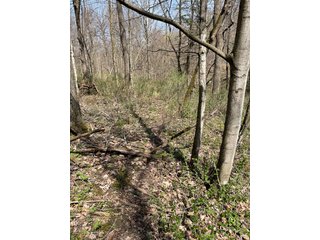 This 32+/- acre piece of timber sits in the middle of an area known for quality whitetail deer hunting. With both south and north facing hillsides spanning the property and a flat, open creek bottom, there are numerous locations for box blinds with great visibility. There are well defined deer trails throughout the property along with UTV access. The 4.97+/- acres of CRP that lays in the bottom of the valley provide income while at the same time creating wildlife habitat. This is also the perfect spot for future food plots. An easement through the farm off of Kittoe Lane gains access to this newly sectioned parcel. - REAL ESTATE FOR SALE - 32+/- ACRES - GRANT COUNTY, WI