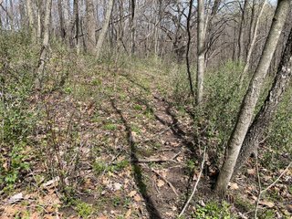 This 32+/- acre piece of timber sits in the middle of an area known for quality whitetail deer hunting. With both south and north facing hillsides spanning the property and a flat, open creek bottom, there are numerous locations for box blinds with great visibility. There are well defined deer trails throughout the property along with UTV access. The 4.97+/- acres of CRP that lays in the bottom of the valley provide income while at the same time creating wildlife habitat. This is also the perfect spot for future food plots. An easement through the farm off of Kittoe Lane gains access to this newly sectioned parcel. - REAL ESTATE FOR SALE - 32+/- ACRES - GRANT COUNTY, WI