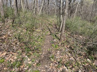 This 32+/- acre piece of timber sits in the middle of an area known for quality whitetail deer hunting. With both south and north facing hillsides spanning the property and a flat, open creek bottom, there are numerous locations for box blinds with great visibility. There are well defined deer trails throughout the property along with UTV access. The 4.97+/- acres of CRP that lays in the bottom of the valley provide income while at the same time creating wildlife habitat. This is also the perfect spot for future food plots. An easement through the farm off of Kittoe Lane gains access to this newly sectioned parcel. - REAL ESTATE FOR SALE - 32+/- ACRES - GRANT COUNTY, WI