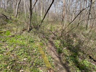 This 32+/- acre piece of timber sits in the middle of an area known for quality whitetail deer hunting. With both south and north facing hillsides spanning the property and a flat, open creek bottom, there are numerous locations for box blinds with great visibility. There are well defined deer trails throughout the property along with UTV access. The 4.97+/- acres of CRP that lays in the bottom of the valley provide income while at the same time creating wildlife habitat. This is also the perfect spot for future food plots. An easement through the farm off of Kittoe Lane gains access to this newly sectioned parcel. - REAL ESTATE FOR SALE - 32+/- ACRES - GRANT COUNTY, WI