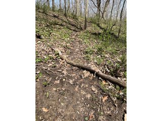 This 32+/- acre piece of timber sits in the middle of an area known for quality whitetail deer hunting. With both south and north facing hillsides spanning the property and a flat, open creek bottom, there are numerous locations for box blinds with great visibility. There are well defined deer trails throughout the property along with UTV access. The 4.97+/- acres of CRP that lays in the bottom of the valley provide income while at the same time creating wildlife habitat. This is also the perfect spot for future food plots. An easement through the farm off of Kittoe Lane gains access to this newly sectioned parcel. - REAL ESTATE FOR SALE - 32+/- ACRES - GRANT COUNTY, WI