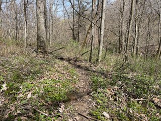 This 32+/- acre piece of timber sits in the middle of an area known for quality whitetail deer hunting. With both south and north facing hillsides spanning the property and a flat, open creek bottom, there are numerous locations for box blinds with great visibility. There are well defined deer trails throughout the property along with UTV access. The 4.97+/- acres of CRP that lays in the bottom of the valley provide income while at the same time creating wildlife habitat. This is also the perfect spot for future food plots. An easement through the farm off of Kittoe Lane gains access to this newly sectioned parcel. - REAL ESTATE FOR SALE - 32+/- ACRES - GRANT COUNTY, WI