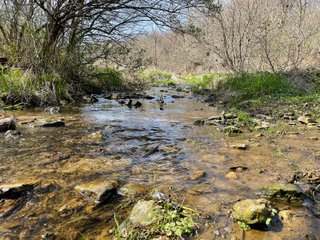 This 32+/- acre piece of timber sits in the middle of an area known for quality whitetail deer hunting. With both south and north facing hillsides spanning the property and a flat, open creek bottom, there are numerous locations for box blinds with great visibility. There are well defined deer trails throughout the property along with UTV access. The 4.97+/- acres of CRP that lays in the bottom of the valley provide income while at the same time creating wildlife habitat. This is also the perfect spot for future food plots. An easement through the farm off of Kittoe Lane gains access to this newly sectioned parcel. - REAL ESTATE FOR SALE - 32+/- ACRES - GRANT COUNTY, WI