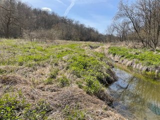 This 32+/- acre piece of timber sits in the middle of an area known for quality whitetail deer hunting. With both south and north facing hillsides spanning the property and a flat, open creek bottom, there are numerous locations for box blinds with great visibility. There are well defined deer trails throughout the property along with UTV access. The 4.97+/- acres of CRP that lays in the bottom of the valley provide income while at the same time creating wildlife habitat. This is also the perfect spot for future food plots. An easement through the farm off of Kittoe Lane gains access to this newly sectioned parcel. - REAL ESTATE FOR SALE - 32+/- ACRES - GRANT COUNTY, WI