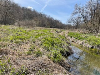 This 32+/- acre piece of timber sits in the middle of an area known for quality whitetail deer hunting. With both south and north facing hillsides spanning the property and a flat, open creek bottom, there are numerous locations for box blinds with great visibility. There are well defined deer trails throughout the property along with UTV access. The 4.97+/- acres of CRP that lays in the bottom of the valley provide income while at the same time creating wildlife habitat. This is also the perfect spot for future food plots. An easement through the farm off of Kittoe Lane gains access to this newly sectioned parcel. - REAL ESTATE FOR SALE - 32+/- ACRES - GRANT COUNTY, WI