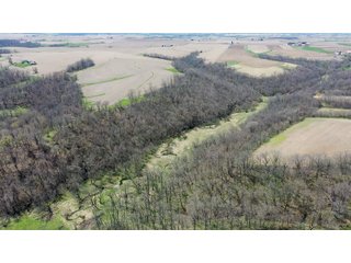 This 32+/- acre piece of timber sits in the middle of an area known for quality whitetail deer hunting. With both south and north facing hillsides spanning the property and a flat, open creek bottom, there are numerous locations for box blinds with great visibility. There are well defined deer trails throughout the property along with UTV access. The 4.97+/- acres of CRP that lays in the bottom of the valley provide income while at the same time creating wildlife habitat. This is also the perfect spot for future food plots. An easement through the farm off of Kittoe Lane gains access to this newly sectioned parcel. - REAL ESTATE FOR SALE - 32+/- ACRES - GRANT COUNTY, WI