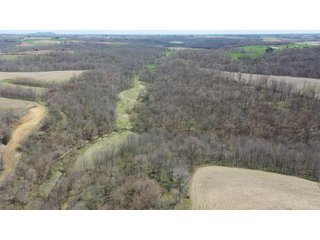 This 32+/- acre piece of timber sits in the middle of an area known for quality whitetail deer hunting. With both south and north facing hillsides spanning the property and a flat, open creek bottom, there are numerous locations for box blinds with great visibility. There are well defined deer trails throughout the property along with UTV access. The 4.97+/- acres of CRP that lays in the bottom of the valley provide income while at the same time creating wildlife habitat. This is also the perfect spot for future food plots. An easement through the farm off of Kittoe Lane gains access to this newly sectioned parcel. - REAL ESTATE FOR SALE - 32+/- ACRES - GRANT COUNTY, WI