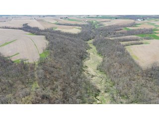 This 32+/- acre piece of timber sits in the middle of an area known for quality whitetail deer hunting. With both south and north facing hillsides spanning the property and a flat, open creek bottom, there are numerous locations for box blinds with great visibility. There are well defined deer trails throughout the property along with UTV access. The 4.97+/- acres of CRP that lays in the bottom of the valley provide income while at the same time creating wildlife habitat. This is also the perfect spot for future food plots. An easement through the farm off of Kittoe Lane gains access to this newly sectioned parcel. - REAL ESTATE FOR SALE - 32+/- ACRES - GRANT COUNTY, WI