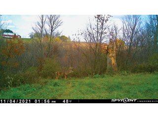 <LI>House is three bedroom, two bath, built in 1970s recently updated. Large two car garage, possible to finish basement. Has pellet and oil furnace. Septic is up to date. Well is 60ft -100ft depth, need to confirm.
<li>	Farm is located 5+/- miles from Lancaster WI. 38+/- miles to Dubuque Iowa.
<li>	Farm is currently setup as a goat dairy, milking 350 to 400 head. Farm is located next to good feed supplies and has approximately 7+/- acres of pasture. 
<li>	Buildings have many uses as storage, horse arena, converted to dairy or milk goats as the milk plant is in Lancaster. - REAL ESTATE FOR SALE 36.16+/- ACRES 