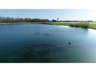 28.5+/- ACRES, a beautiful getaway featuring a well stocked 9 acre, 20+ foot deep lake stocked with bass, bluegill, and have caught large pike occasionally.  Formerly a gravel pit, this lake is bordered by groomed lawn grasses with a very large gravel beach to the lake for great swimming!!  A good sized metal building with covered porch, perfect for weekend and overnight stays.  Adjacent to the St. Joseph River with over 3,000 feet of river frontage, this property has wonderful scenic river views, where deer and turkey travel abundantly, and offers great duck and goose hunting on the lake!  
A great put-in site for river canoe and kayak trips, it offers a wonderful potential building site for year round home or private getaway!  And would also be a wonderful RV and Camper getaway spot!!  Only about a 40 minute drive from Fort Wayne, 30 minutes from Grabill, 20 minutes from Bryan, 35 minutes from Defiance, 30 minutes from Auburn! - 28.5+/- Acres with 9+/- acre Lake, Woods, Possible Building Sites
