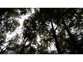 Property photo 8 - FOR SALE - 15.5+/- ACRES