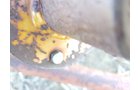 Property photo 162 - FARM EQUIPMENT AUCTION IN CUMBERLAND COUNTY, ILLINOIS