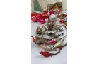 Property photo 352 - TIMED ONLINE ONLY PERSONAL PROPERTY AUCTION IN ALLEN COUNTY, INDIANA