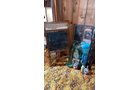 Property photo 470 - TIMED ONLINE ONLY PERSONAL PROPERTY AUCTION IN ALLEN COUNTY, INDIANA