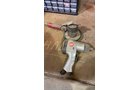 Property photo 93 - TIMED ONLINE ONLY PERSONAL PROPERTY AUCTION IN NOBLE COUNTY, INDIANA