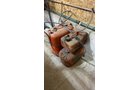 Property photo 242 - TIMED ONLINE ONLY PERSONAL PROPERTY AUCTION IN NOBLE COUNTY, INDIANA