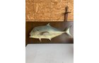 Property photo 341 - TIMED ONLINE ONLY PERSONAL PROPERTY AUCTION IN NOBLE COUNTY, INDIANA