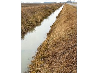 Property photo 10 - LAND AUCTION 121+/- ACRES OFFERED IN 3 TRACTS IN EAST ALLEN COUNTY, INDIANA