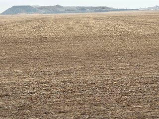 Property photo 15 - LAND AUCTION 121+/- ACRES OFFERED IN 3 TRACTS IN EAST ALLEN COUNTY, INDIANA
