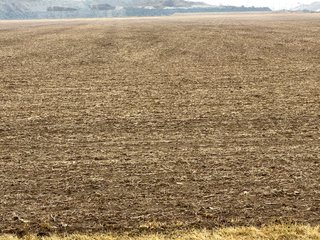 Property photo 17 - LAND AUCTION 121+/- ACRES OFFERED IN 3 TRACTS IN EAST ALLEN COUNTY, INDIANA