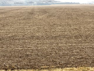 Property photo 18 - LAND AUCTION 121+/- ACRES OFFERED IN 3 TRACTS IN EAST ALLEN COUNTY, INDIANA