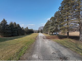 Property photo 8 - TIMED ONLINE ONLY AUCTION - 65+/- ACRES OFFERED IN 2 TRACTS IN WHITLEY COUNTY, INDIANA