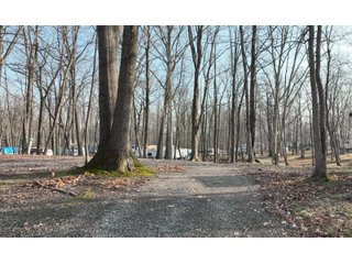 Property photo 23 - TIMED ONLINE ONLY AUCTION - 65+/- ACRES OFFERED IN 2 TRACTS IN WHITLEY COUNTY, INDIANA
