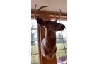 Property photo 5 - TIMED ONLINE ONLY PERSONAL PROPERTY AUCTION IN ALLEN COUNTY, INDIANA