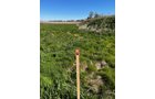 Property photo 6 - TIMED ONLINE ONLY PRIME ZONED HIGHWAY COMMERCIAL DISTRICT REAL ESTATE AUCTION