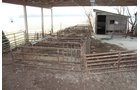 Property photo 46 - FARM EQUIPMENT AUCTION IN MADISON COUNTY, INDIANA