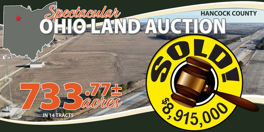 Auction Slider