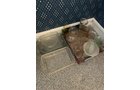 Property photo 138 - TIMED ONLINE ONLY PERSONAL PROPERTY AUCTION IN ALLEN COUNTY, INDIANA