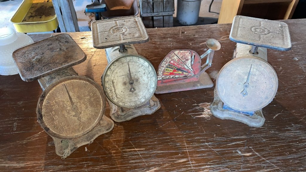Property photo 284 - TIMED ONLINE ONLY PERSONAL PROPERTY AUCTION IN ALLEN COUNTY, INDIANA