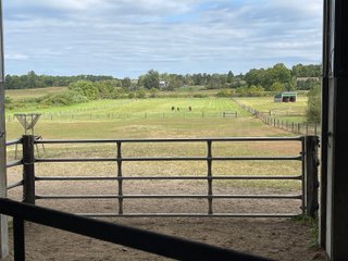 Property photo 4 - REAL ESTATE AUCTION 119 +/- ACRES OFFERED IN 5 TRACTS IN NOBLE COUNTY, INDIANA
