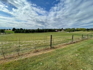 Property photo 13 - REAL ESTATE AUCTION 119 +/- ACRES OFFERED IN 5 TRACTS IN NOBLE COUNTY, INDIANA