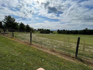 Property photo 14 - REAL ESTATE AUCTION 119 +/- ACRES OFFERED IN 5 TRACTS IN NOBLE COUNTY, INDIANA