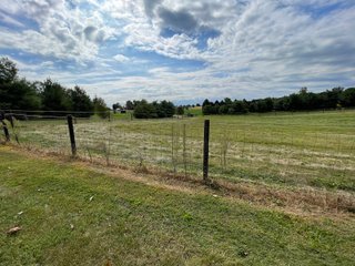 Property photo 15 - REAL ESTATE AUCTION 119 +/- ACRES OFFERED IN 5 TRACTS IN NOBLE COUNTY, INDIANA