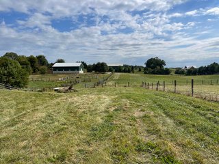 Property photo 16 - REAL ESTATE AUCTION 119 +/- ACRES OFFERED IN 5 TRACTS IN NOBLE COUNTY, INDIANA