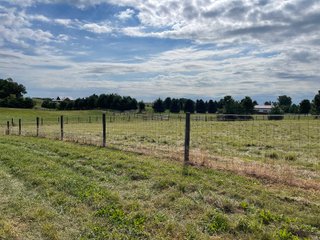 Property photo 17 - REAL ESTATE AUCTION 119 +/- ACRES OFFERED IN 5 TRACTS IN NOBLE COUNTY, INDIANA