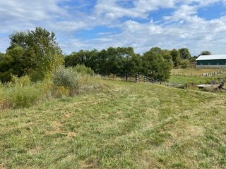 Property photo 20 - REAL ESTATE AUCTION 119 +/- ACRES OFFERED IN 5 TRACTS IN NOBLE COUNTY, INDIANA