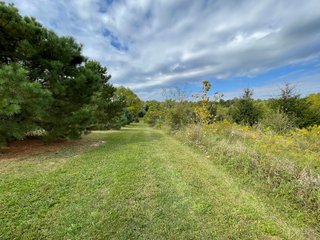 Property photo 23 - REAL ESTATE AUCTION 119 +/- ACRES OFFERED IN 5 TRACTS IN NOBLE COUNTY, INDIANA
