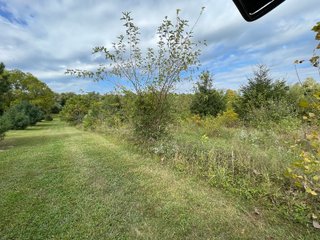 Property photo 24 - REAL ESTATE AUCTION 119 +/- ACRES OFFERED IN 5 TRACTS IN NOBLE COUNTY, INDIANA