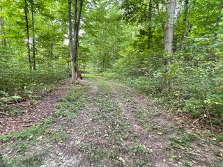 Property photo 27 - REAL ESTATE AUCTION 119 +/- ACRES OFFERED IN 5 TRACTS IN NOBLE COUNTY, INDIANA