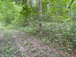 Property photo 28 - REAL ESTATE AUCTION 119 +/- ACRES OFFERED IN 5 TRACTS IN NOBLE COUNTY, INDIANA