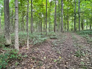Property photo 30 - REAL ESTATE AUCTION 119 +/- ACRES OFFERED IN 5 TRACTS IN NOBLE COUNTY, INDIANA